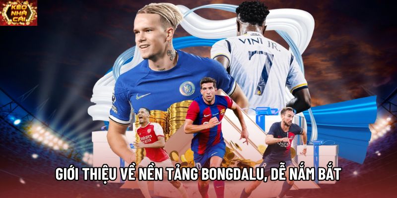 Giới thiệu về nền tảng Bongdalu, dễ nắm bắt