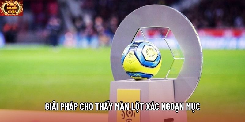 Giải pháp cho thấy màn lột xác ngoạn mục Giải pháp cho thấy màn lột xác ngoạn mục