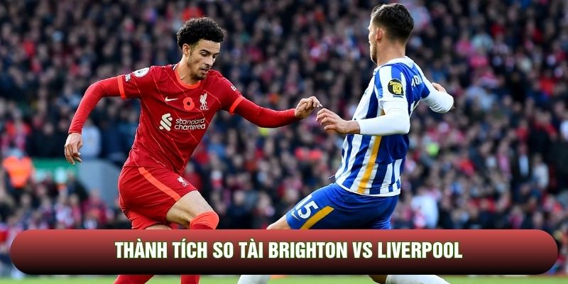 Thành tích so tài Brighton vs Liverpool